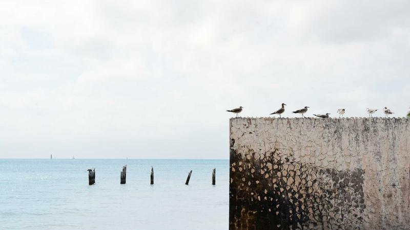 为什么你发了100条视频，还是没有咨询？