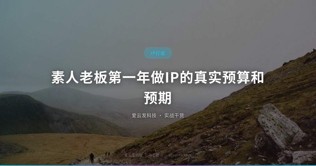素人老板第一年做IP的真实预算和预期