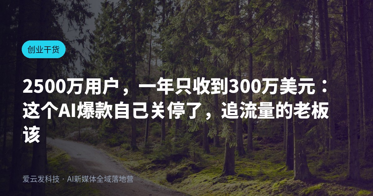 2500万用户，一年只收到300万美元：这个AI爆款自己关停了，追流量的老板该换个指标